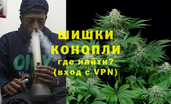 стафф Кодинск
